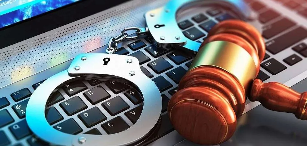 Cyber Crime and it's Subject Matter - LawLex.Org