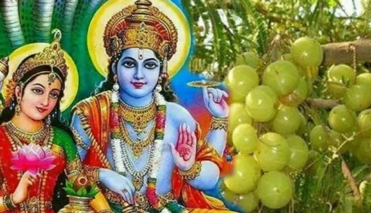 Amla Navami: Do these 5 things today there will be happiness and prosperity  in the house there will be many benefits| आंवला नवमी: आज जरूर कर लें ये 5  काम, घर में