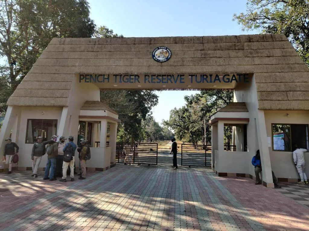 Pench National Park - A Disappointing Experience - Dreams Taking Wings
