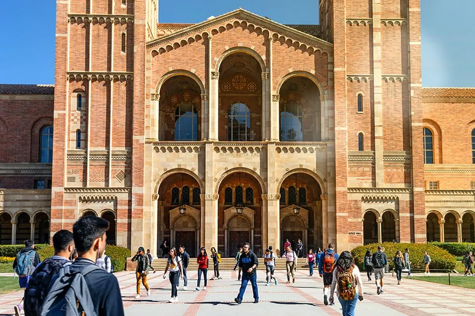 University of California Insights: Campuses, Courses & More