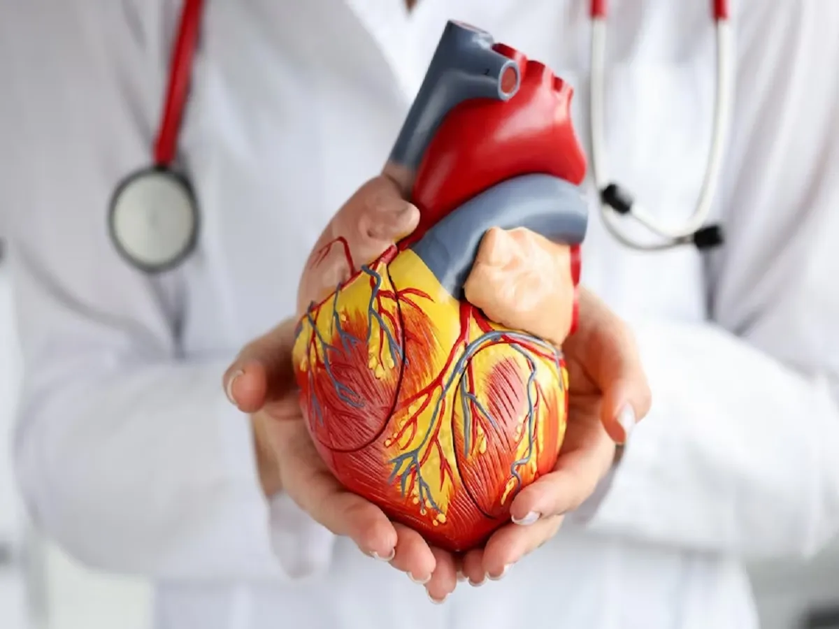 हार्ट अटैक के बारे में आप क्या जानते हैं? अपना ज्ञान परखें |  TheHealthSite.com