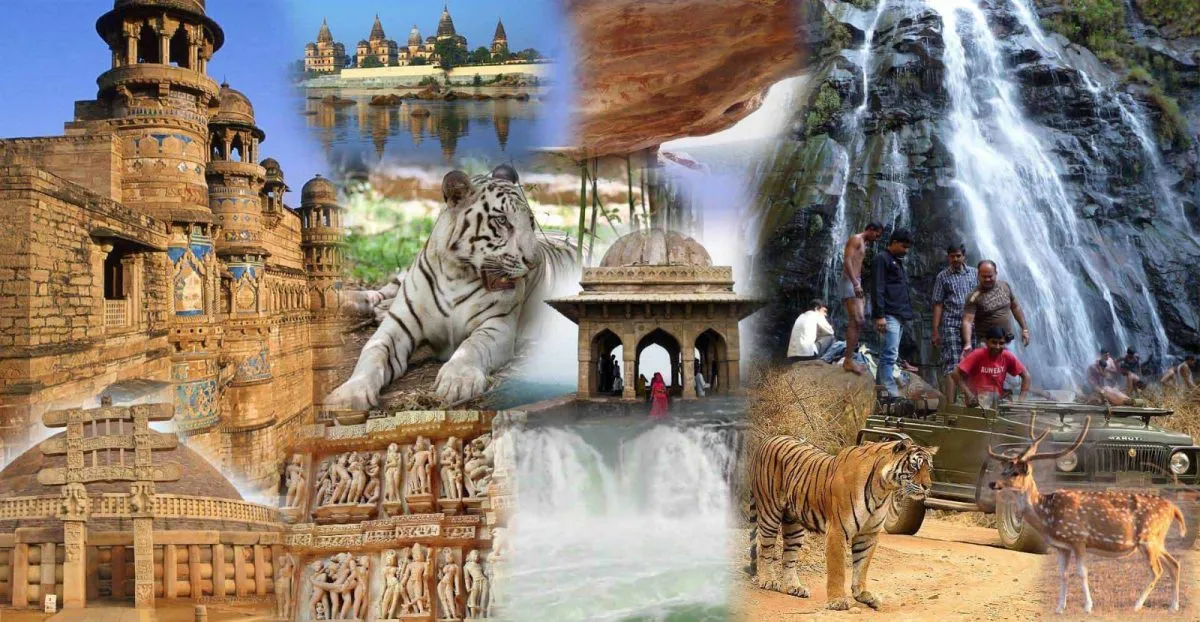 MP Tourism : एमपी घूमने का सही समय, ये है प्रमुख पर्यटन स्थल | Right time  to visit MP Tourism, this are the main best 10 tourist destination | MP  Tourism