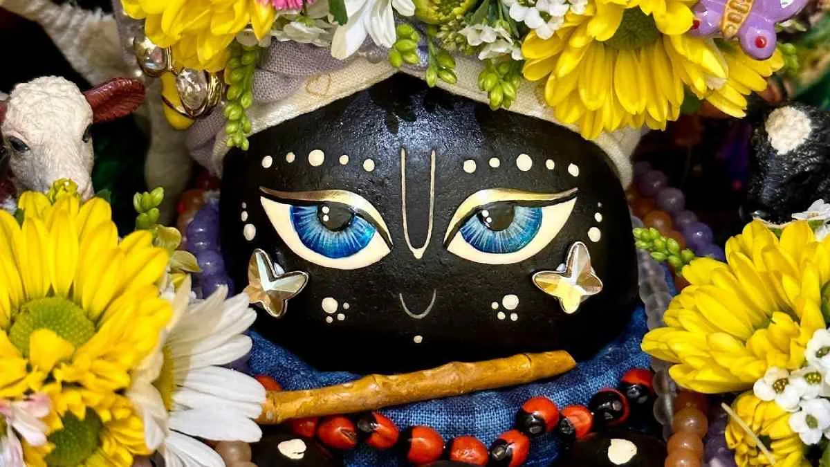 Adhikmass 2023: पुरुषोत्तम मास में तुलसी के साथ करें शालिग्राम की पूजा,  होगी सौभाग्य की प्राप्ति, जानिए महत्व और पूजा विधि। Adhikmass 2023 Tulsi  Puja And Shaligram ...