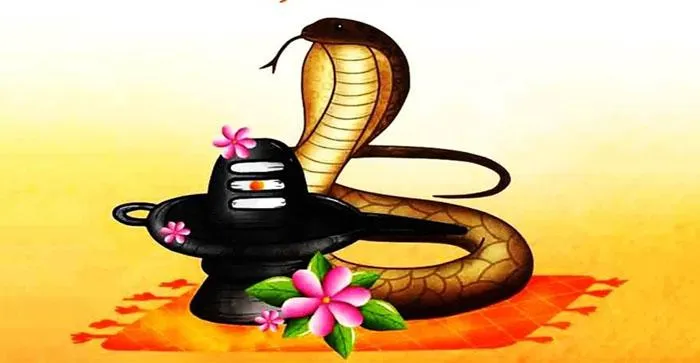Naag Panchami 2023: Snake is an important part of our culture. Know the  importance and worship method of this Panchami……#agranews – Agraleaks