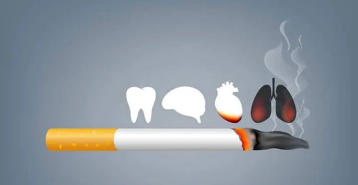 World No-Tobacco Day 2024: 31 को क्यों मनाया जाता है ये दिवस