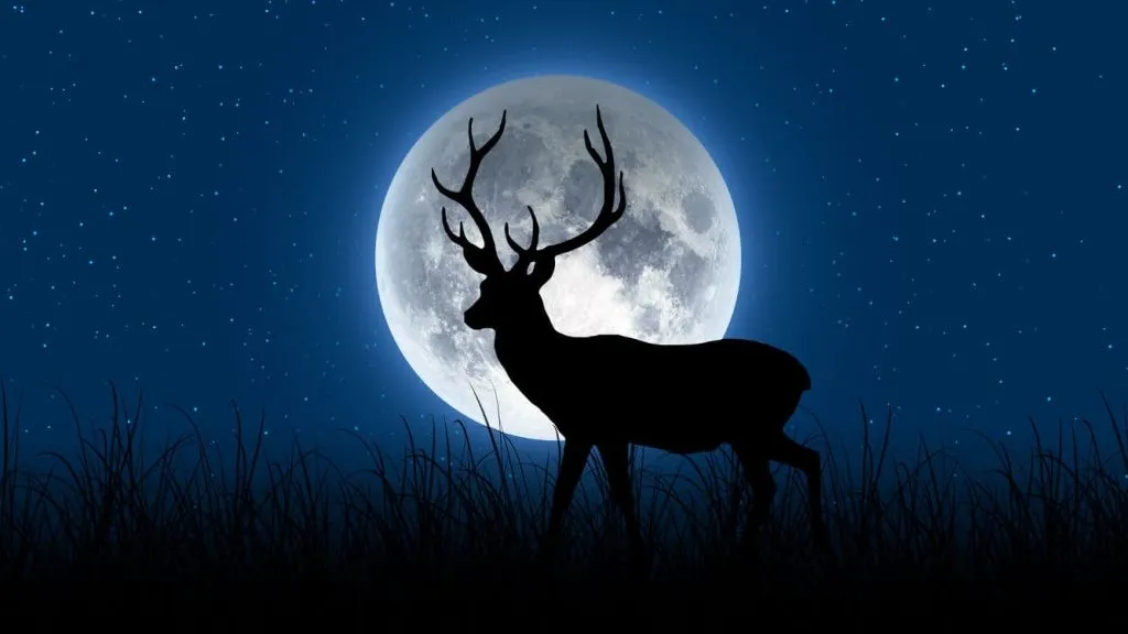 Buck Moon 2025: July Full Moon Meaning? - Orbital Today