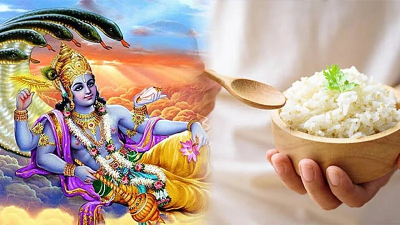 एकादशी पर चावल क्यों नहीं खाना चाहिए? - रूप महल चावल