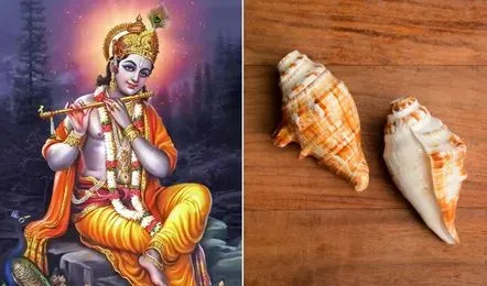 भगवान श्रीकृष्ण का पवित्र शंख हैं पाञ्चजन्य, जानिए घर में रखने के नियम |  Navbharat Live