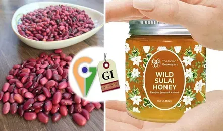 Jammu and Kashmir's most important product and the changes brought about by  the GI tag