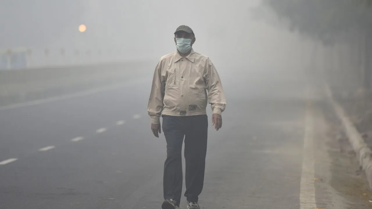 बढ़ते प्रदूषण में कैसे रखें सेहत का ध्यान, आयुर्वेद एक्सपर्ट से जानें |  Health tips to protect yourself during increasing pollution level know by  expert