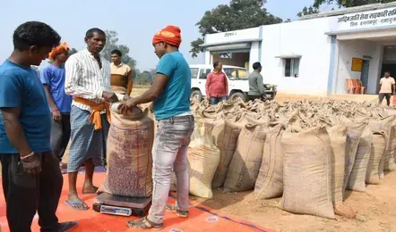 Dhan Kharidi Last Date 2025 Chhattisgarh