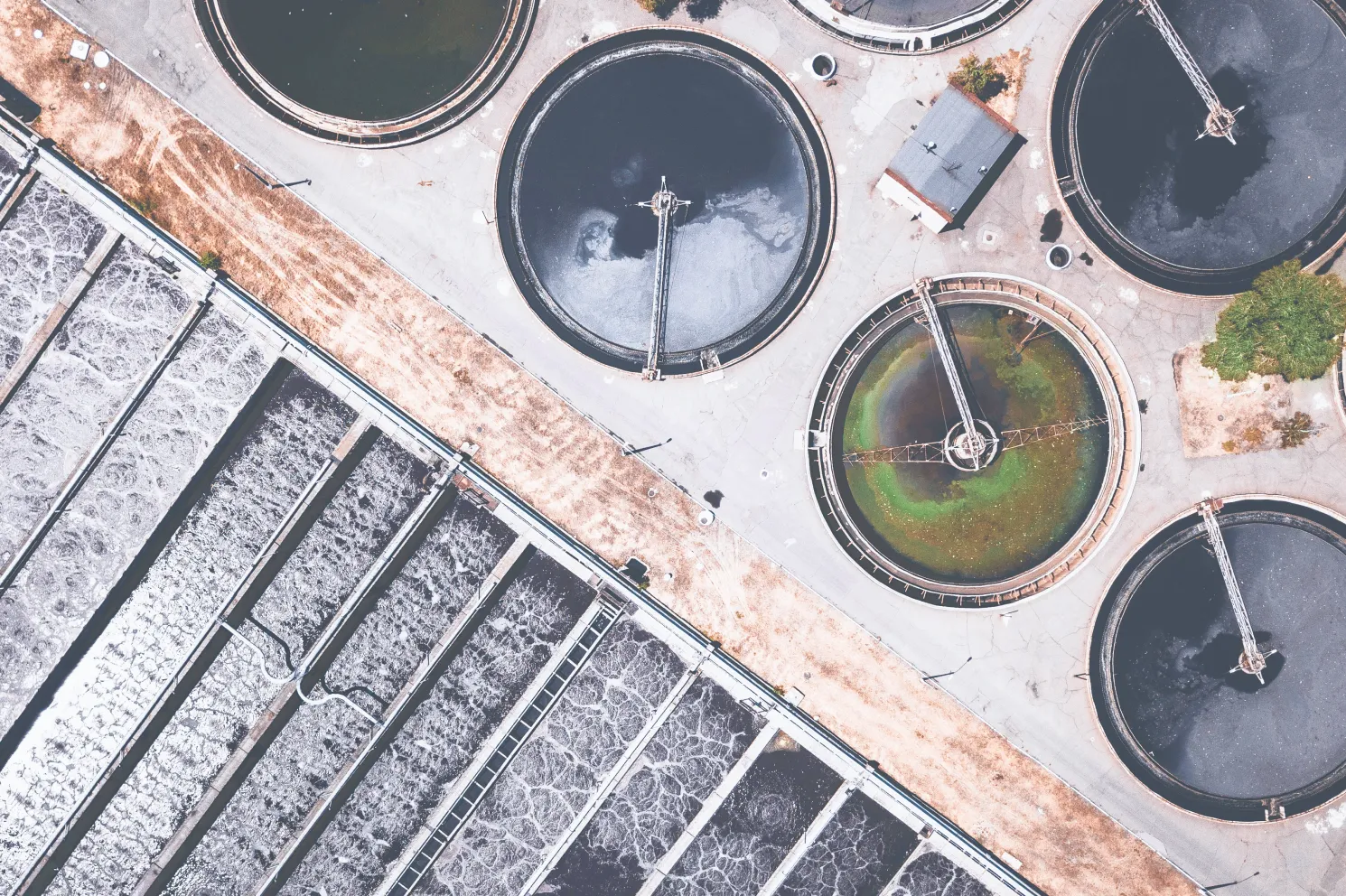 Vaulted Deep – Putting waste to work removing carbon