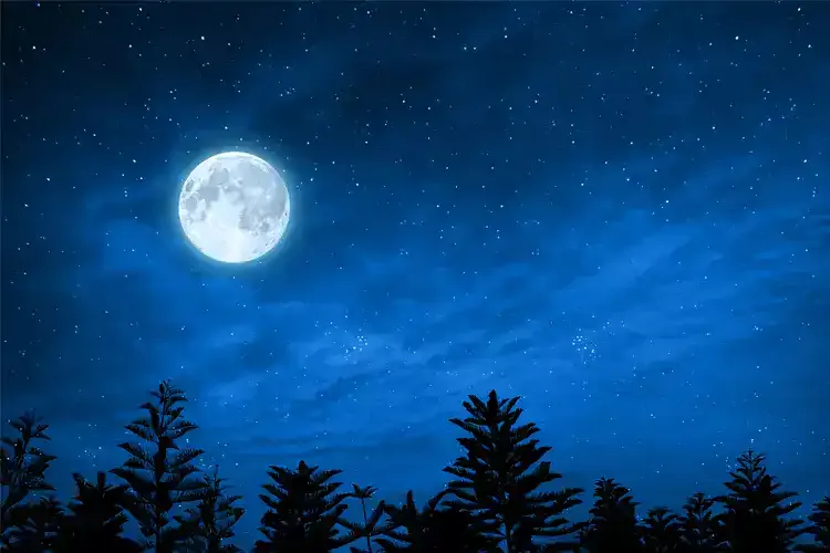 मार्गशीर्ष पूर्णिमा 2025: जानिए तिथि, कहानी और महत्व | MyPandit