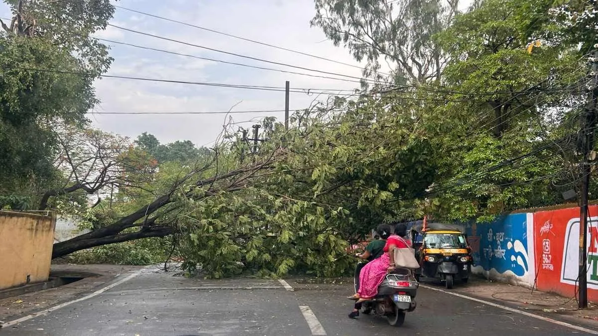 छत्तीसगढ़ में आंधी-बारिश की चेतावनी : मौसम विभाग ने जारी किया ऑरेंज और येलो  अलर्ट, रायपुर में तेज हवा के साथ हुई बारिश से कई इलाकों में गिरे ...