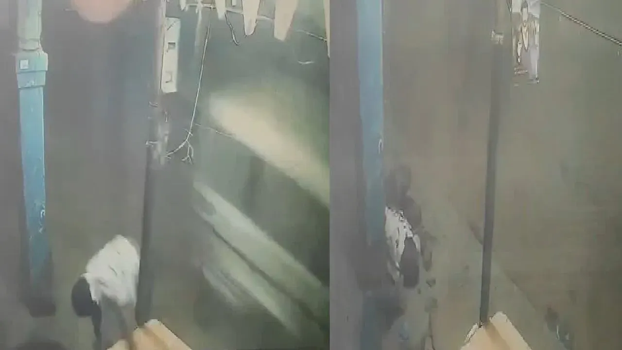 CG के सूरजपुर में मूंगफली विवाद ने ली खौफनाक करवट : बोलेरो से कुचलकर  पिता-पुत्र की हत्या, दूसरा बेटा गंभीर - Media24 News