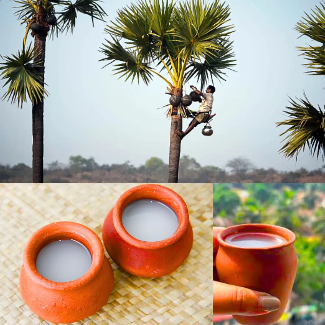toddy a natural product, not liquor, says Chirag Paswan