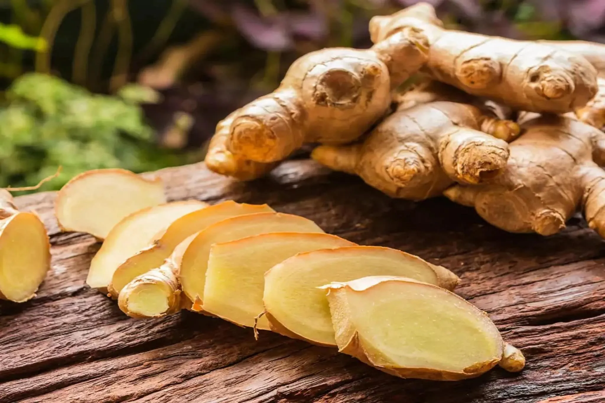 Health Benefits Of Consuming Fresh Ginger And Dry Ginger - News18