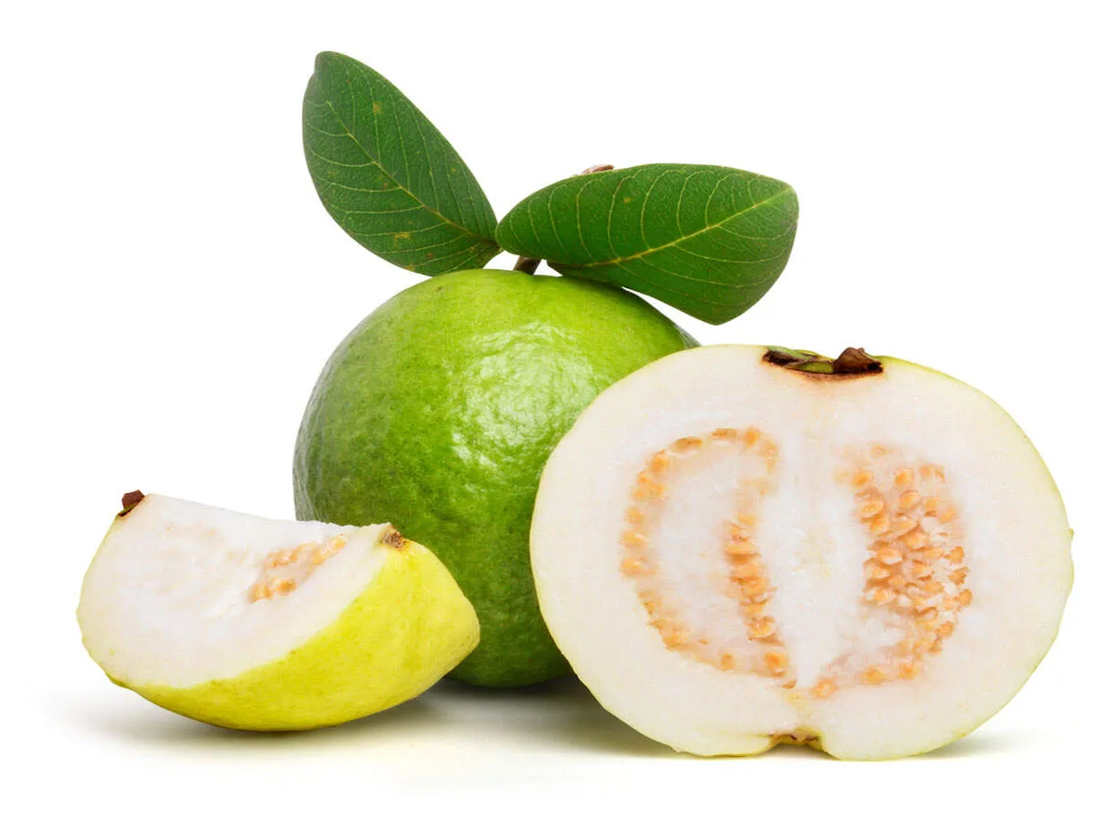 Guava has more Vitamin C than oranges and can reverse ageing | The Times of India