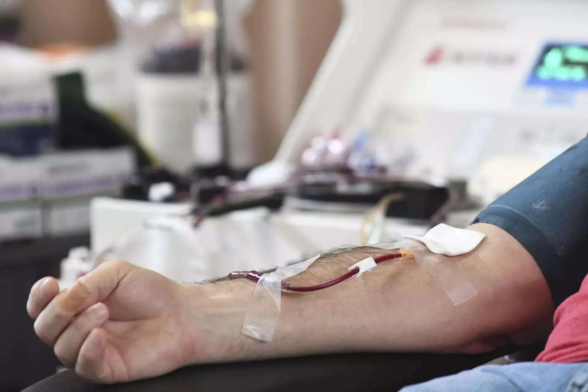 safe blood donation: How to donate blood safely - The Economic Times