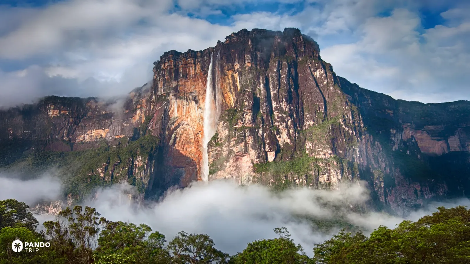 Close-up of stunning Angel Falls in soft morning light