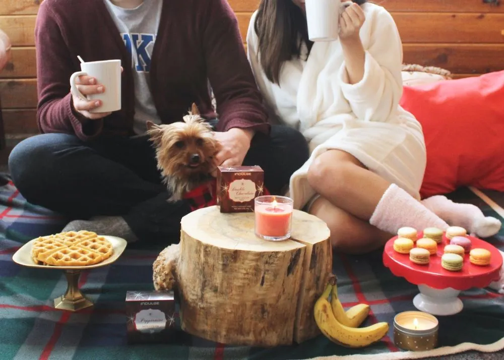 indoor picnic
