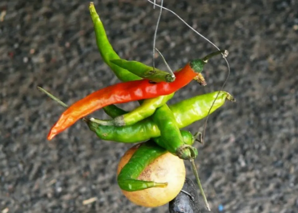 Lemon Chillies