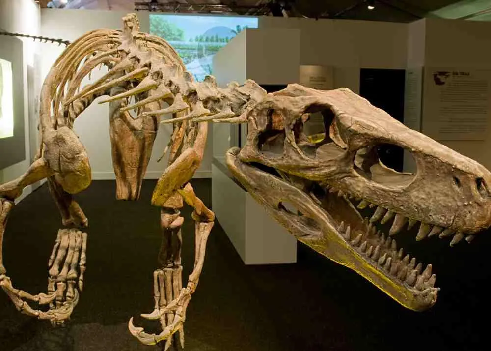 places to visit in Frankfurt