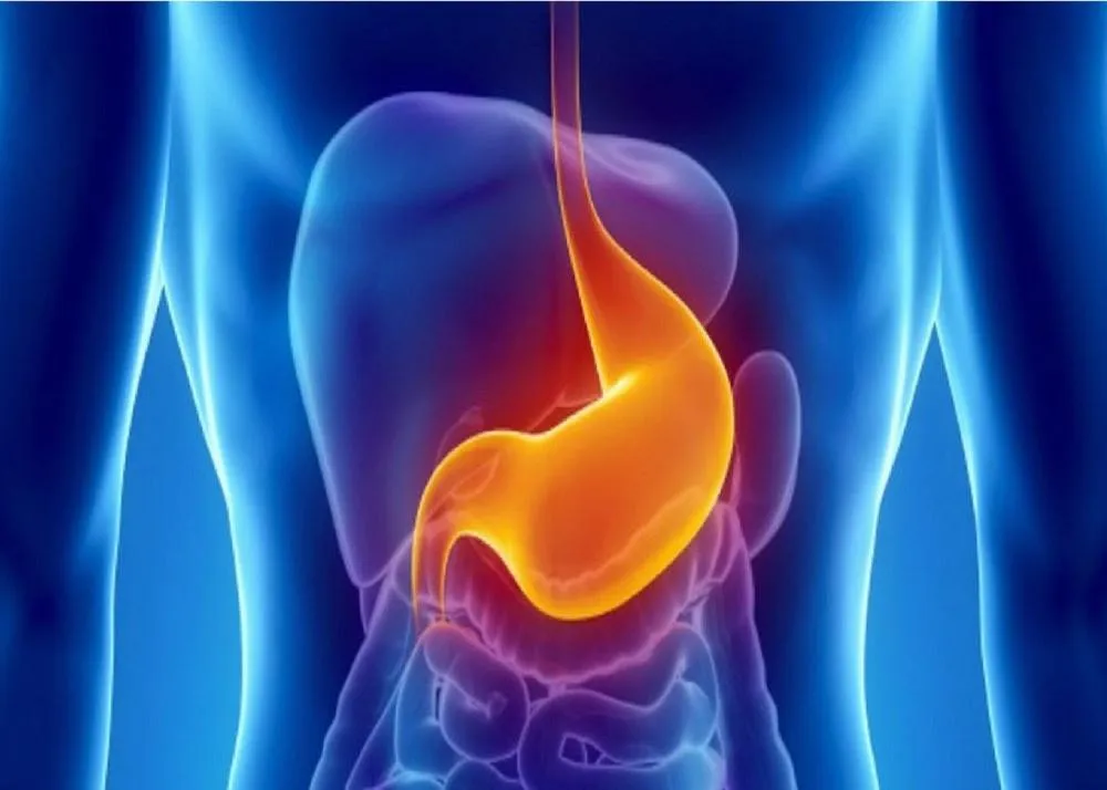 Benefits of Fox nuts