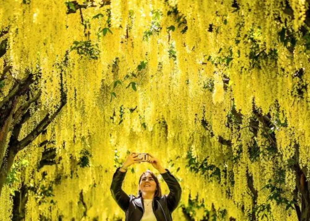 amazing things to do in wales