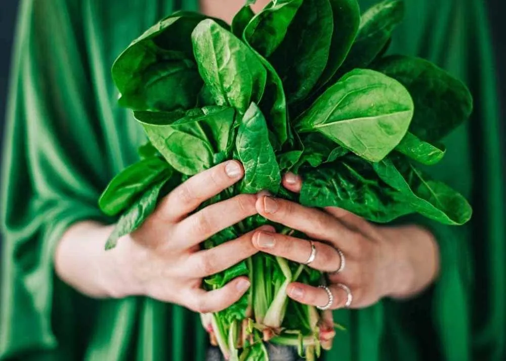 diet after covid vaccination