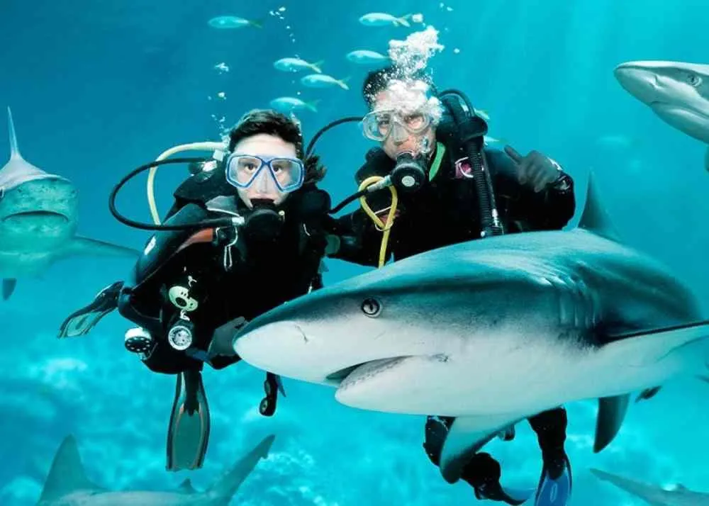 things to do in malaysia