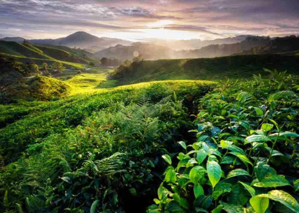 places to visit in Malaysia