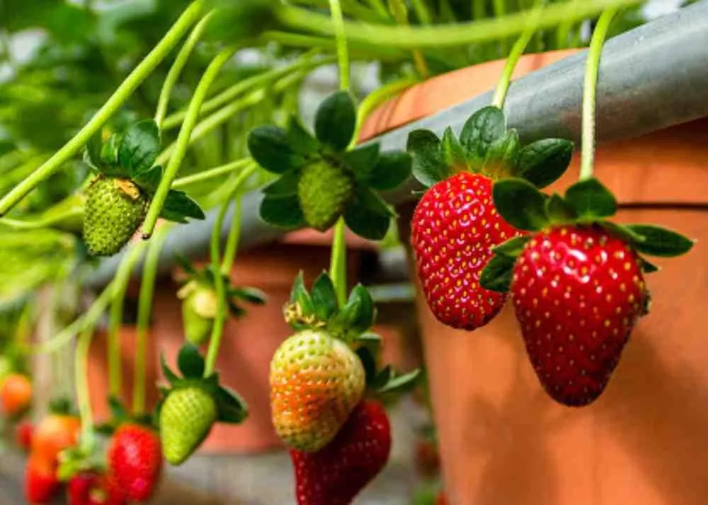 places to visit in Malaysia