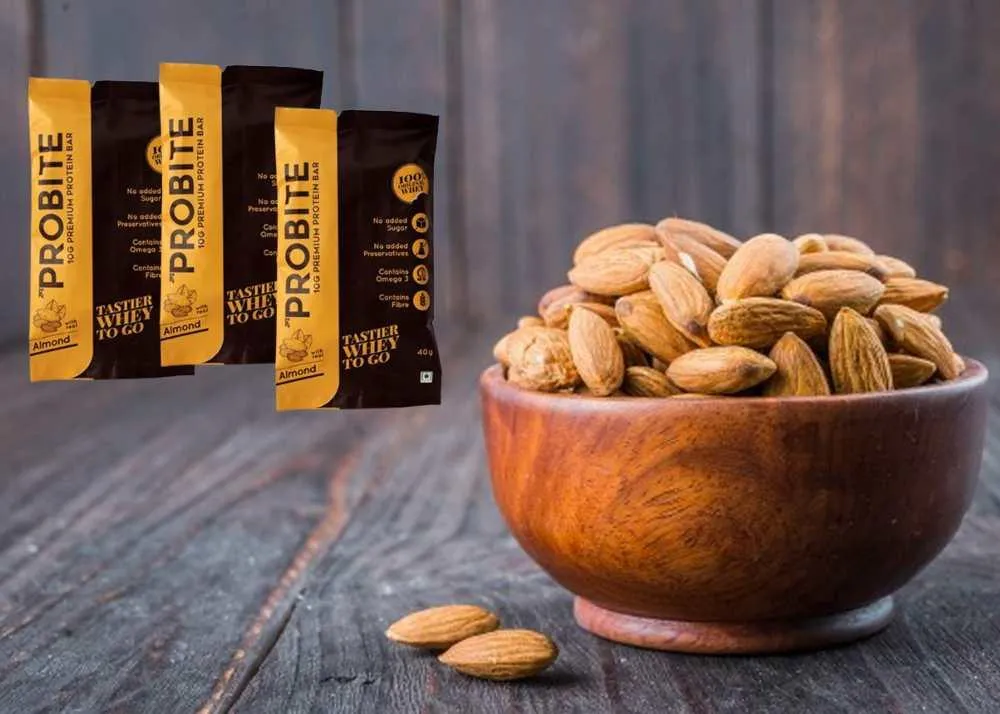 best low carb protein bars