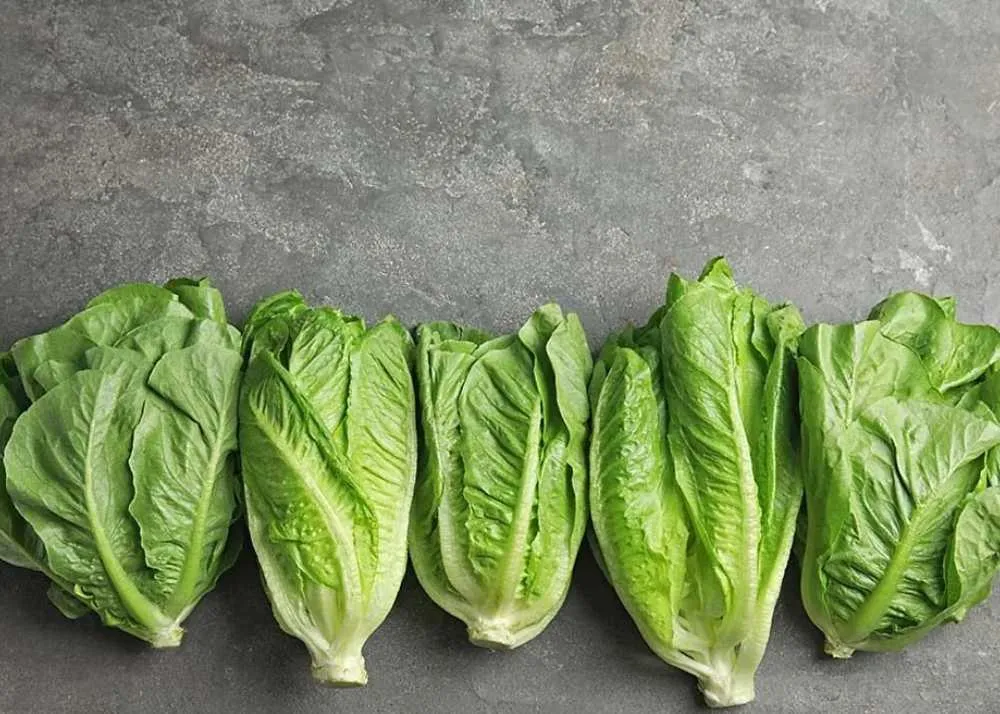 low sugar vegetables