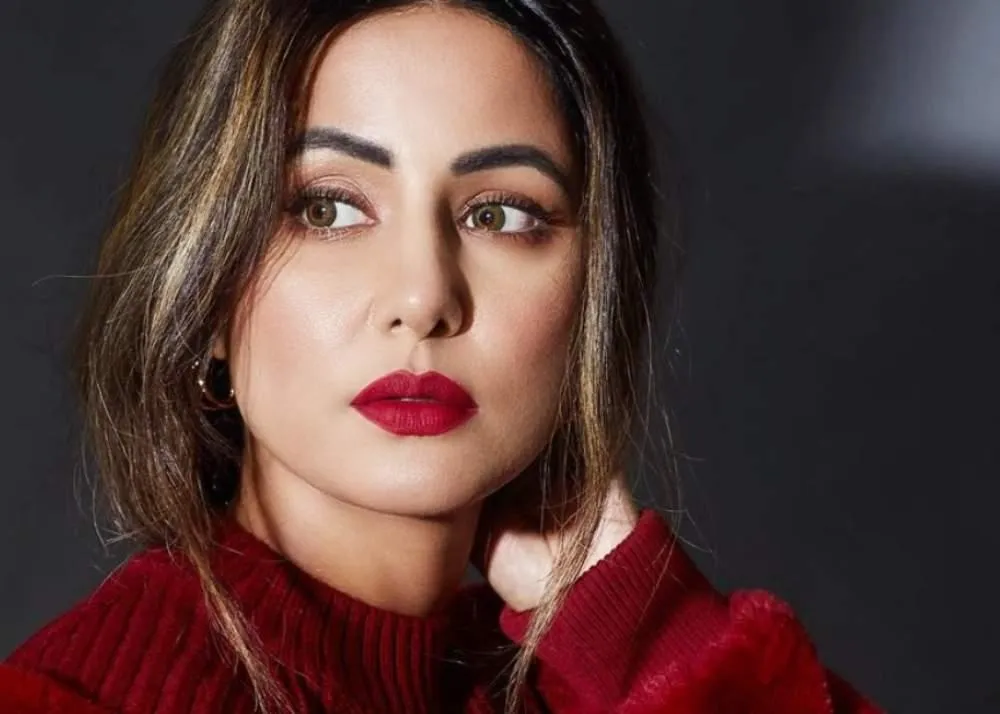 big boss contestants