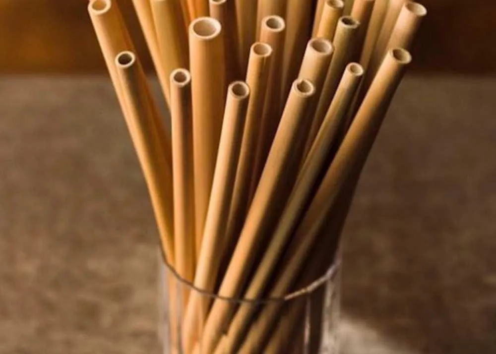 international plastic bag free day