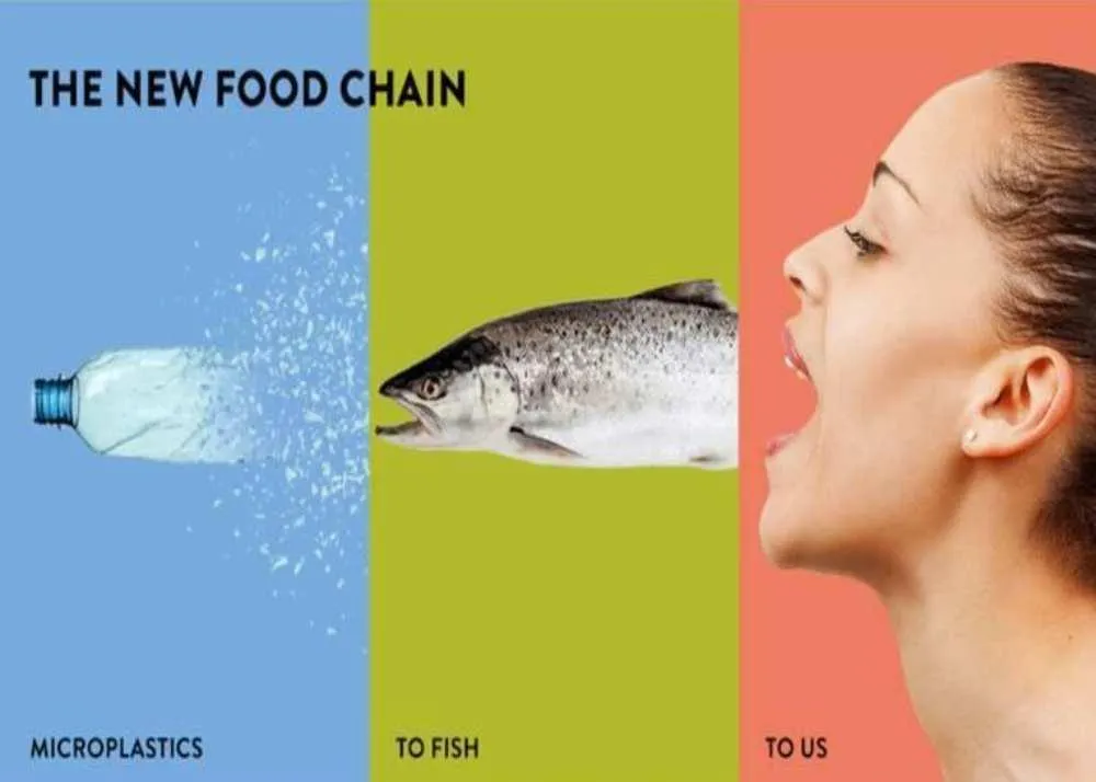 international plastic bag free day 