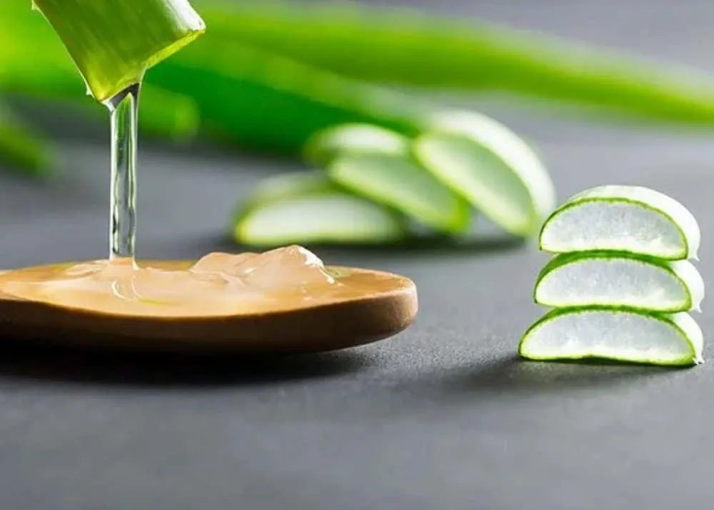 aloe vera oil
