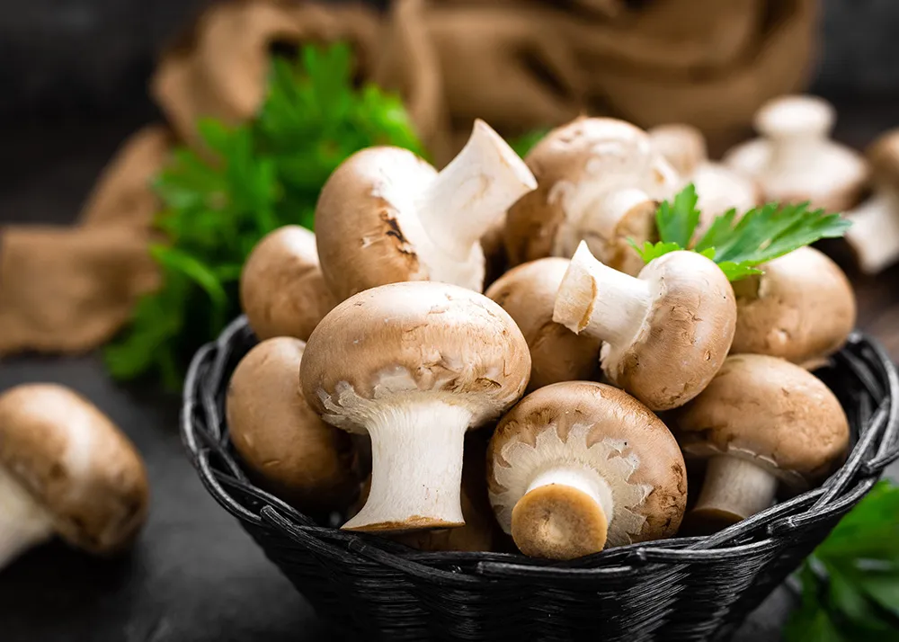 small profitable business ideas