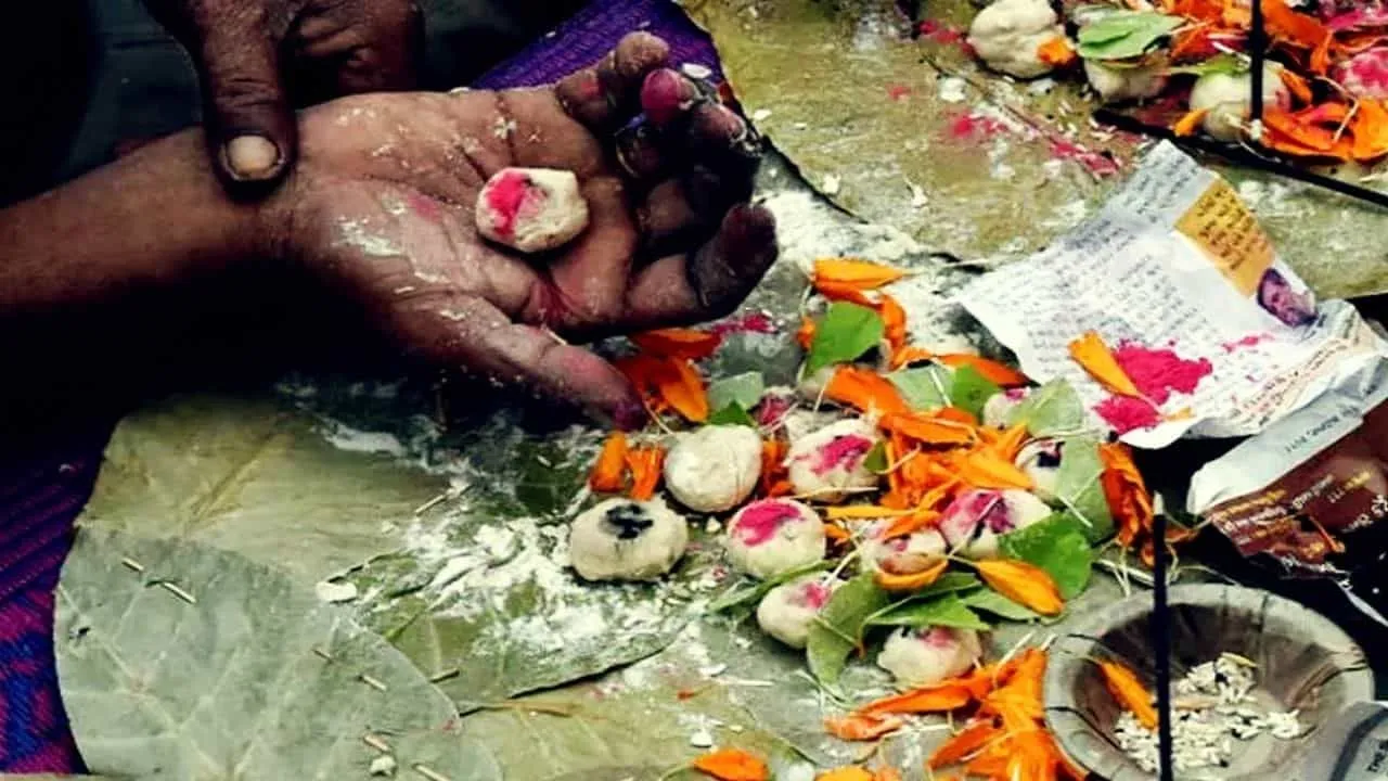 Pitru Paksha 2021 : जानिए सर्वपितृ अमावस्या के दिन पितरों को प्रसन्न करने  के लिए क्या करें क्या नहीं | Pitru Paksha 2021 know the importance of  shraddh on sarva pitru amavasya | TV9 ...