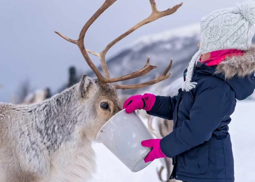 most beautiful places in india