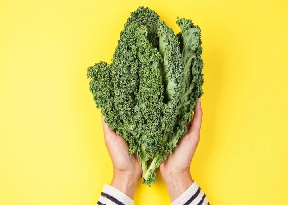 foods good for your brain