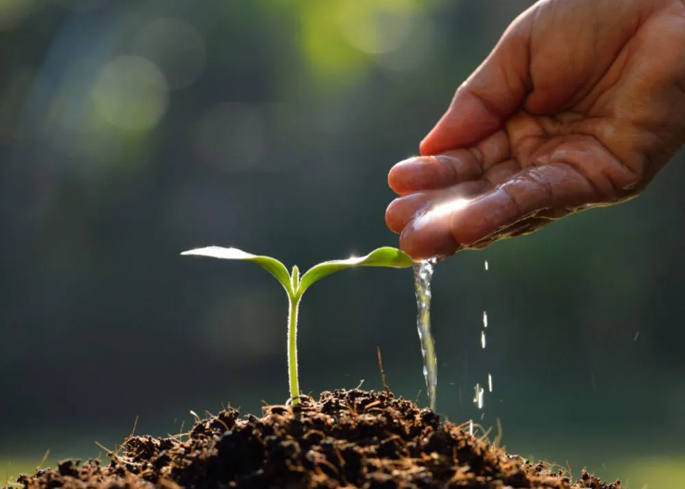 new year resolutions