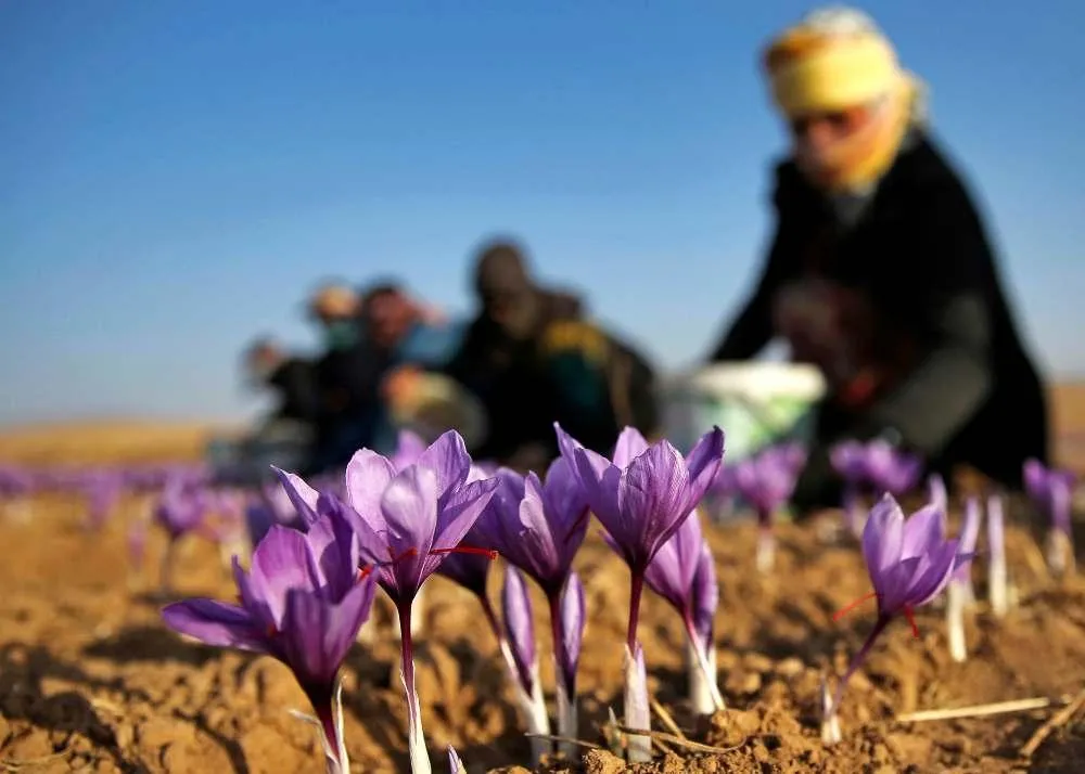 kashmir beautiful places 