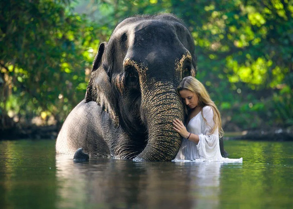 things to do in bangkok 