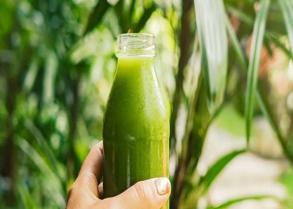 how to increase platelets count 