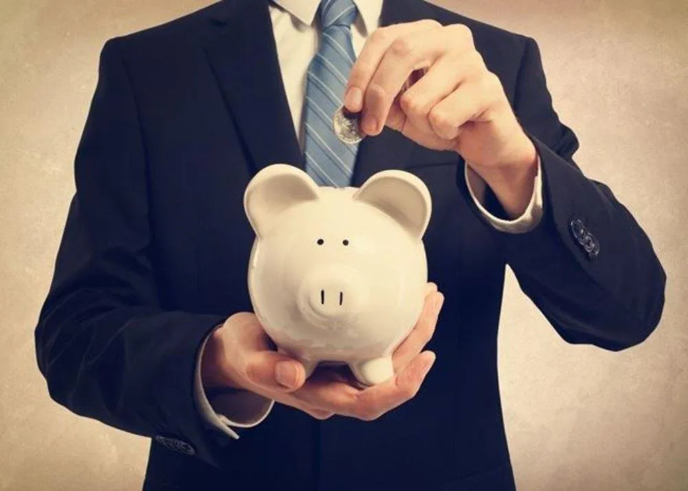 Person Investing In PPF