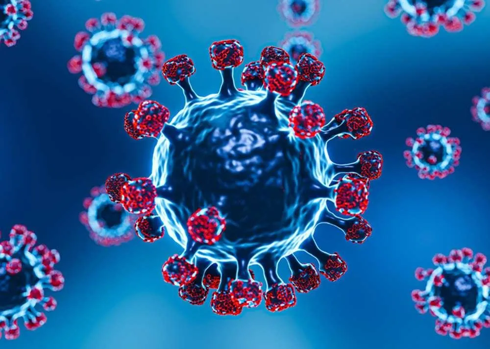 New Covid Variant NeoCoV