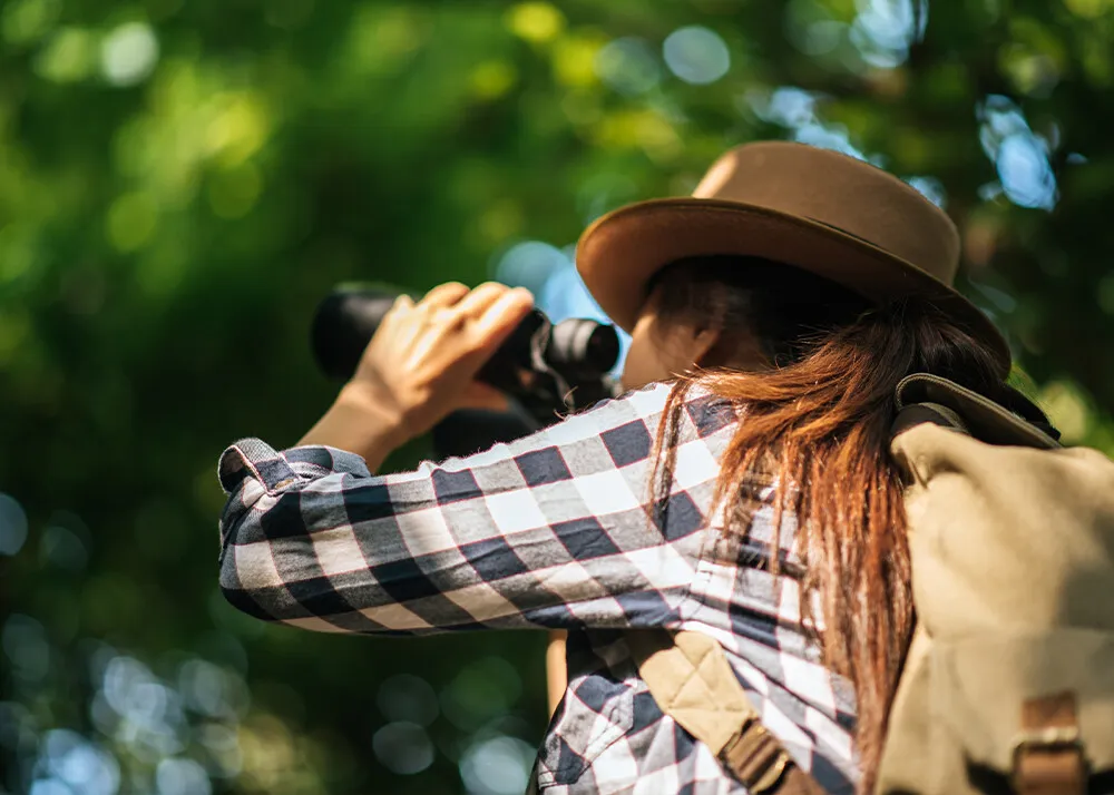 places to visit in mauritius 